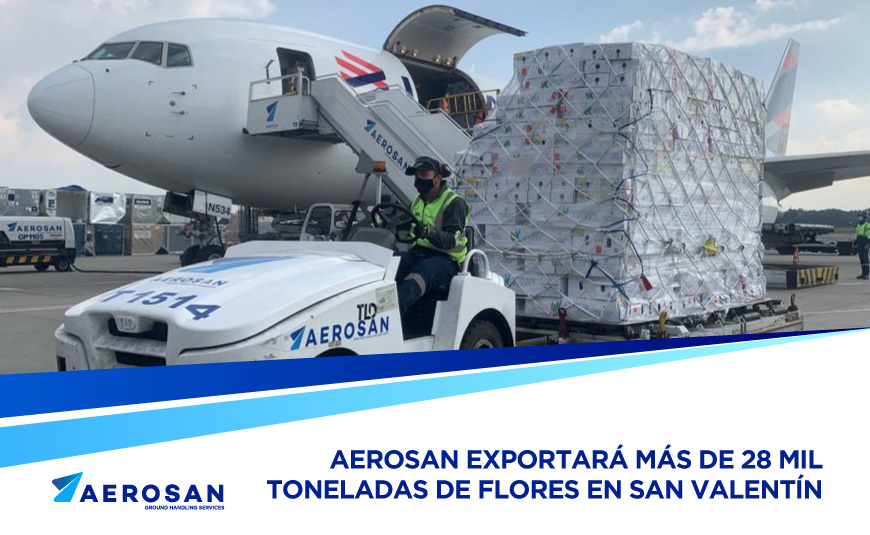 flores-en-san-valentin-aerosan