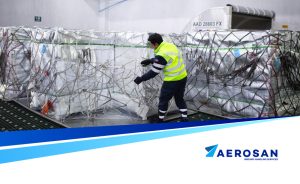 aerosan-temporada-de-fruta-chile-procesos-logisticos-cadena-de-frio